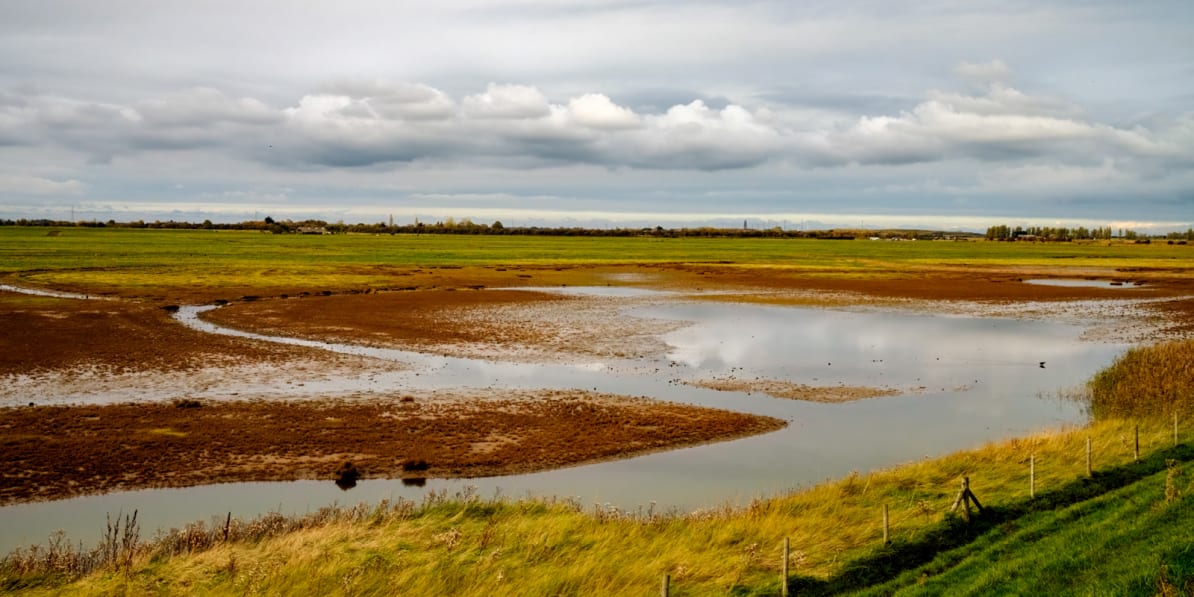Overview ⋮ RSPB Frampton Marsh CANCELLED ⋮ Blackthorn ⋮ Events