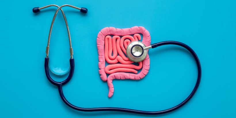Gut intestine graphic